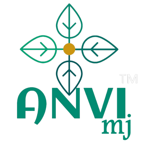 Anvi Service